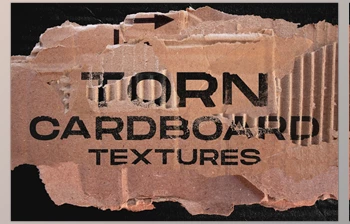 Download Torn cardboard <span class='badge badge-warning'>textures</span> CreativeMarket - 6115430