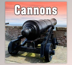 Download Sound Ideas Cannons Sound Effects FLAC