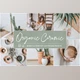 Download Organic Ceramic Green Lightroom Presets
