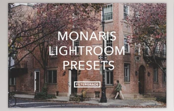 Download FilterGrade – Monaris Lightroom <span class='badge badge-warning'>Presets</span>