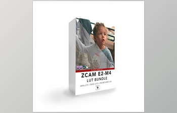 Download ZCAM E2-M4 LUT <span class='badge badge-warning'>Bundle</span>