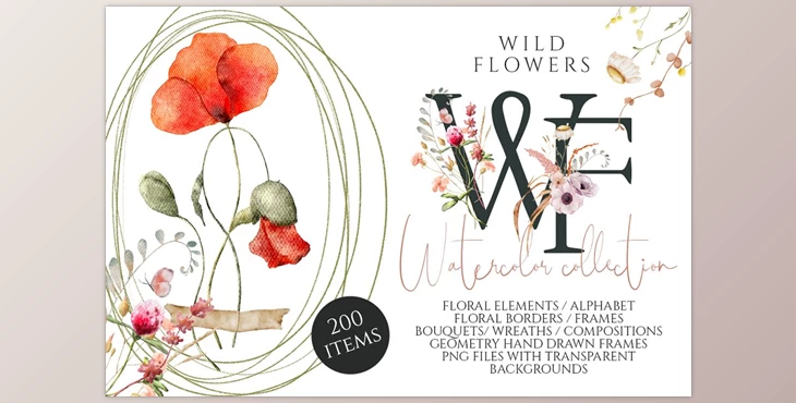 Download Wild Flowers watercolor collection CreativeMarket - 7113962