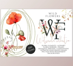 Download Wild Flowers watercolor collection CreativeMarket - 7113962