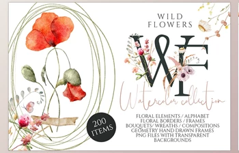 Download Wild Flowers watercolor <span class='badge badge-warning'>collection</span> <span class='badge badge-warning'>CreativeMarket</span> - 7113962