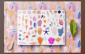 Download Seashells <span class='badge badge-warning'>Collection</span> <span class='badge badge-warning'>CreativeMarket</span> - 5962683