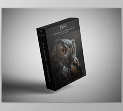 Download Morten Munthe Presets Classic Collection