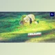 Download Simple Slideshow (VideoHive 37175989) - PR Project