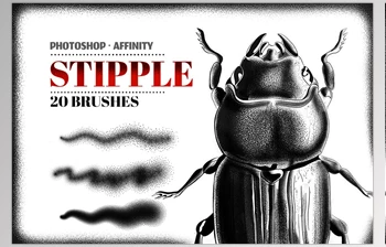 Download Stipple <span class='badge badge-warning'>Photoshop</span> <span class='badge badge-warning'>Brushes</span> <span class='badge badge-warning'>CreativeMarket</span> - 5802582