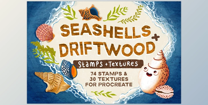 Download Seashells + Driftwood Procreate Set CreativeMarket - 6462824