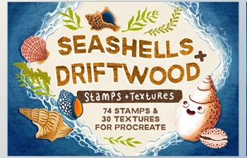 Download Seashells + Driftwood <span class='badge badge-warning'>Procreate</span> Set <span class='badge badge-warning'>CreativeMarket</span> - 6462824