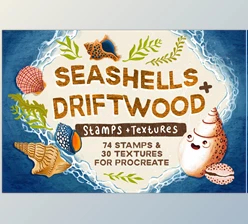 Download Seashells + Driftwood Procreate Set CreativeMarket - 6462824