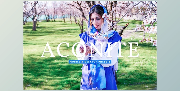 Download Aconite Pro Lightroom Presets CreativeMarket - 7174293