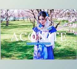 Download Aconite Pro Lightroom Presets CreativeMarket - 7174293