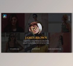 Download Work Portfolio (VideoHive 37070056)