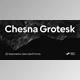 Download Chesna Grotesk Font Family