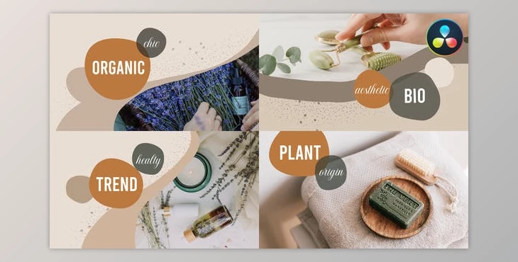 Download Organic Scenes for DaVinci Resolve (VideoHive 37184741)
