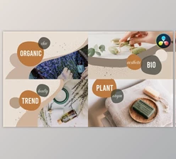 Download Organic Scenes for DaVinci Resolve (VideoHive 37184741)