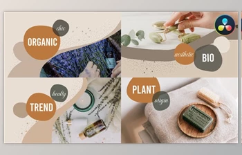 Download Organic <span class='badge badge-warning'>Scenes</span> for DaVinci Resolve (VideoHive 37184741)