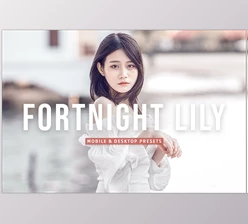 Download Fortnight Lily Pro Lightroom Presets CreativeMarket - 7178685