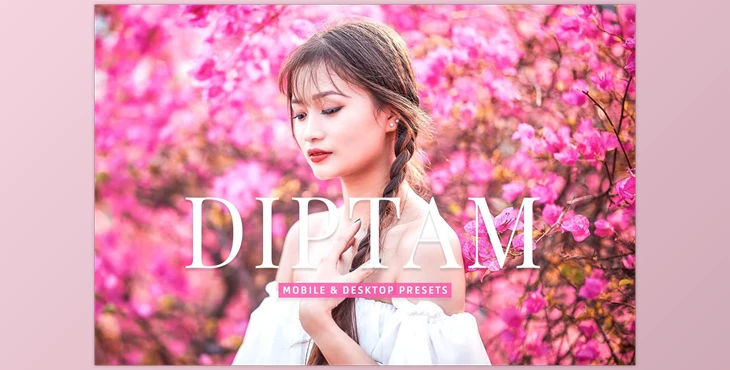 Download Diptam Pro Lightroom Presets CreativeMarket - 7178684