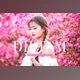 Download Diptam Pro Lightroom Presets CreativeMarket - 7178684