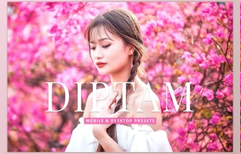 Download Diptam <span class='badge badge-warning'>Pro</span> <span class='badge badge-warning'>Lightroom</span> <span class='badge badge-warning'>Presets</span> CreativeMarket - 7178684