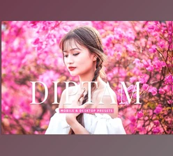 Download Diptam Pro Lightroom Presets CreativeMarket - 7178684