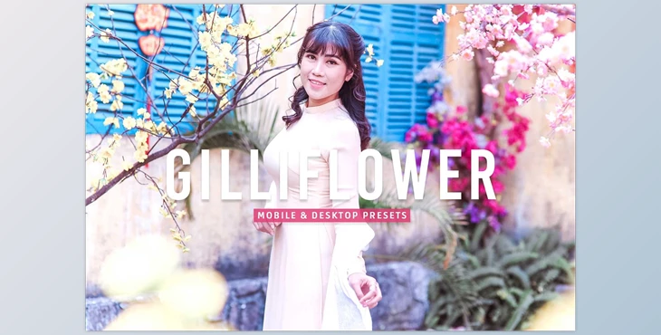 Download Gilliflower Pro Lightroom Presets CreativeMarket - 7178687