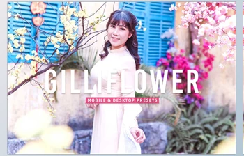 Download Gilliflower <span class='badge badge-warning'>Pro</span> <span class='badge badge-warning'>Lightroom</span> <span class='badge badge-warning'>Presets</span> CreativeMarket - 7178687