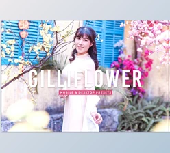 Download Gilliflower Pro Lightroom Presets CreativeMarket - 7178687