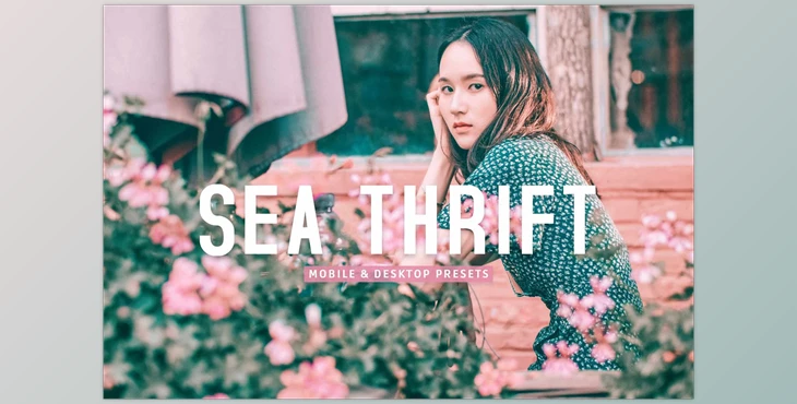 Download Sea Thrift Pro Lightroom Presets CreativeMarket - 7193792