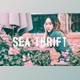 Download Sea Thrift Pro Lightroom Presets CreativeMarket - 7193792