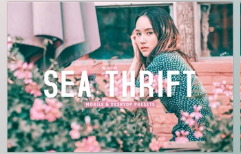 Download Sea Thrift <span class='badge badge-warning'>Pro</span> <span class='badge badge-warning'>Lightroom</span> <span class='badge badge-warning'>Presets</span> CreativeMarket - 7193792