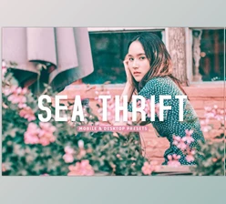 Download Sea Thrift Pro Lightroom Presets CreativeMarket - 7193792