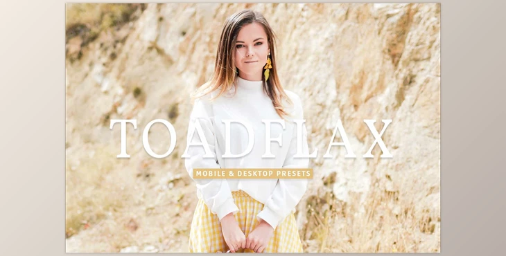 Download Toadflax Pro Lightroom Presets CreativeMarket - 7193794