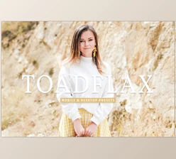 Download Toadflax Pro Lightroom Presets CreativeMarket - 7193794