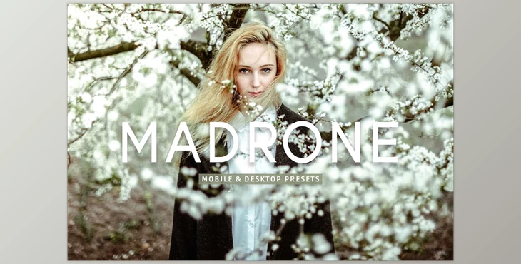 Download Madrone Pro Lightroom Presets CreativeMarket - 7193788