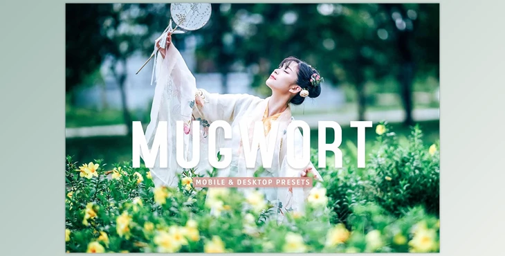 Download Mugwort Pro Lightroom Presets CreativeMarket - 7193789