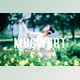 Download Mugwort Pro Lightroom Presets CreativeMarket - 7193789