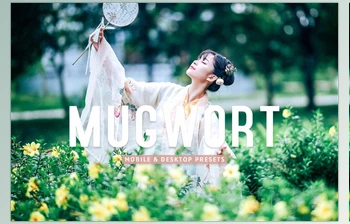 Download Mugwort Pro <span class='badge badge-warning'>Lightroom</span> <span class='badge badge-warning'>Presets</span> <span class='badge badge-warning'>CreativeMarket</span> - 7193789