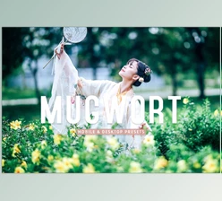 Download Mugwort Pro Lightroom Presets CreativeMarket - 7193789