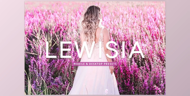 Download Lewisia Pro Lightroom Presets CreativeMarket - 7193786
