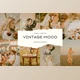 Download Vintage Mood Lightroom Presets CreativeMarket - 6761994