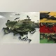 Download Asia Map | Russia | China | India (Videohive 37524636) - AE Project
