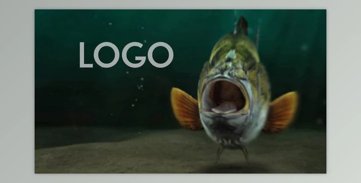 Download Fishing Opener DR (Videohive 33601917)