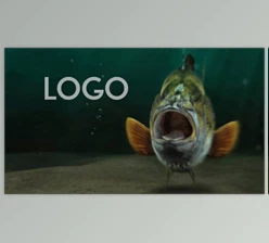 Download Fishing Opener DR (Videohive 33601917)