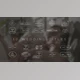 Download Wedding Titles MOGRT (VideoHive 37448532)