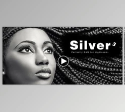 Download Seim Silvereffects 3 for Adobe Photoshop