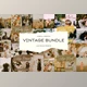 Download Vintage Lightroom Presets Bundle CreativeMarket - 6789268