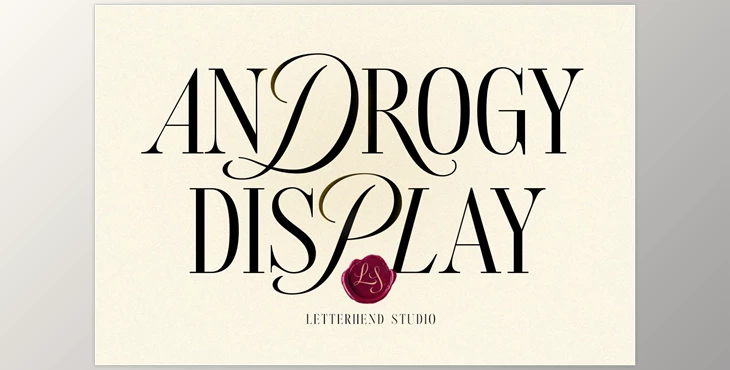 Download Androgy Display